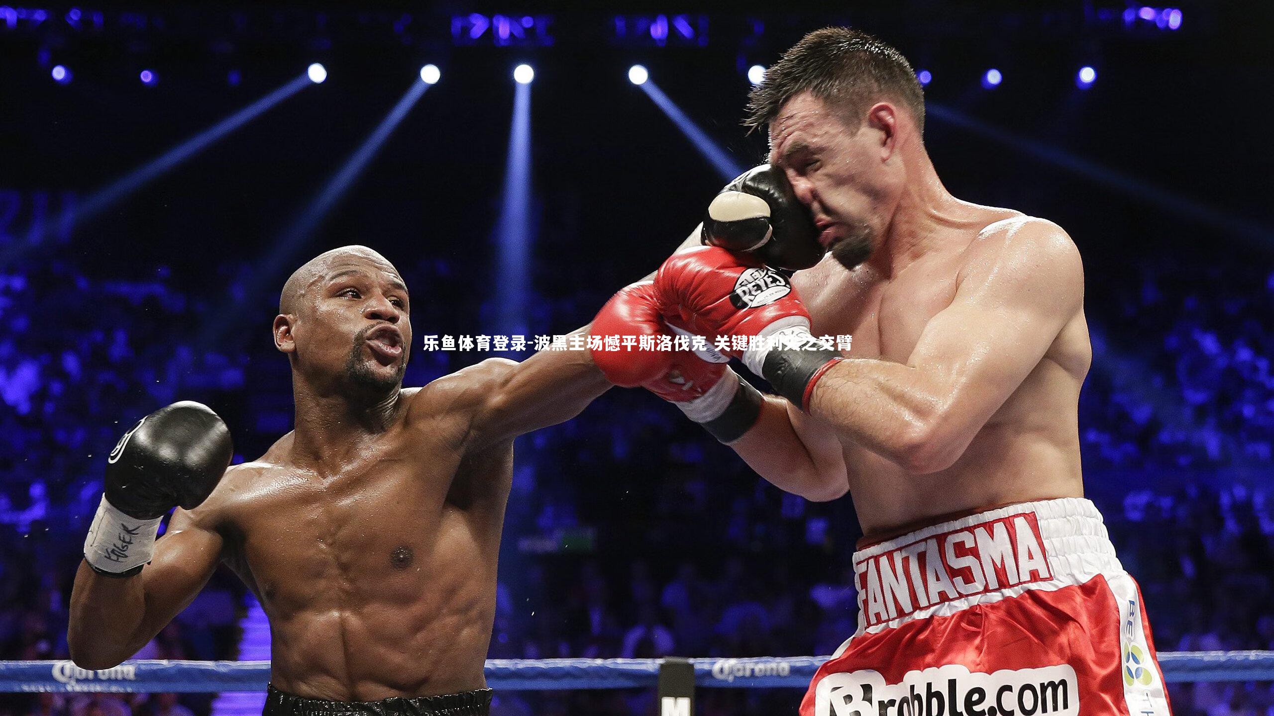 乐鱼体育登录-波黑主场憾平斯洛伐克 关键胜利失之交臂